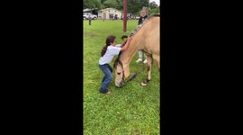 Gentle Horse Allows Climbing and Sliding