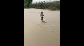 Excited Puppy Bonks Beachgoer
