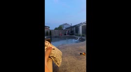 Scooter Goes For A Swim