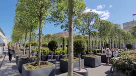 Artificial garden was placed for summer at Isaakiy Square in St Petersburg, Russia