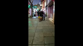 Happy Stray Plays With Plastic Bottle