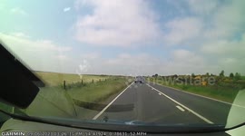 Flock of Birds Fly Straight Into Car