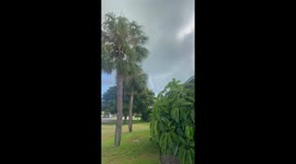 Offshore Waterspout In Tierra Verde
