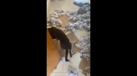 Couch Destroyed By Dastardly Dog