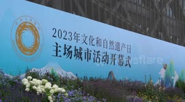 Exhibition featuring Chinese writing held in Chengdu