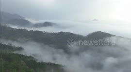 Forum held in China's Anhui to enhance cooperation among RCEP members