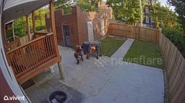 BBQ blunder! Man's lucky escape fireball erupts during family cookout in Missouri