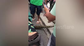 Locals pull huge python out from under car in Cambodia