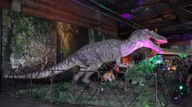 Jurassic Quest Exhibition Held in Texas