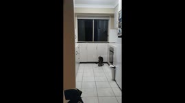 Clever Cat opens cupboard door!