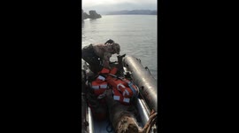 Men Save Deer From Drowning
