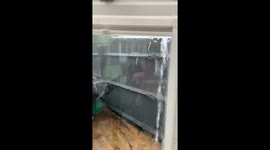 View from my conservatory in Hereford during storm