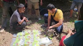 The Process of Arresting a Dealer of 15 Kilo Grams of Crystal Methamphetamine at a Plantation in Tolitoli, Indonesia