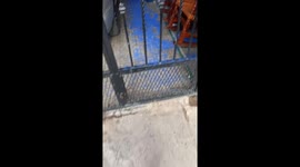 Pup Makes a Big Blue Mess