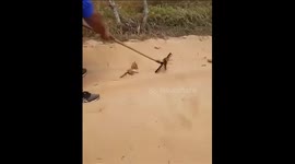Shocking discovery: Deadly traps unearthed! Terrifying video reveals buried boards with nails designed to damage quad bikes
