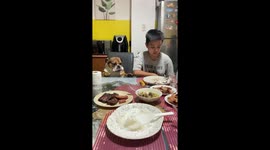 Bulldog Gets Teased at the Table