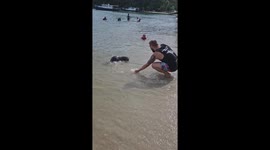 Otter and Backpacker Meet