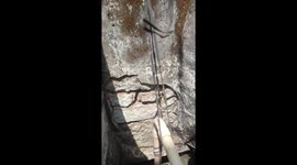 Kitten Rescued From Well