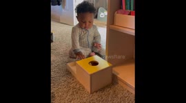 Startled success: Texas toddler's surprising reaction to mother's cheerful congratulation