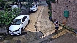 Chinese man narrowly escapes being attacked by snake