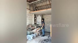 Animal rescuer electrocuted while removing large python coiled among wires inside switchboard
