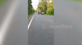 Furious elephant chases motorcycle rider when he tries to pass through forest road