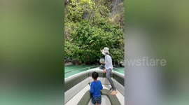 Rude monkey steals entire bag of snacks from tourist