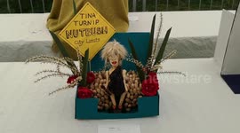 At the Lambeth Country Show Tina Turner is remembered in vegetable form as Tina Turnip