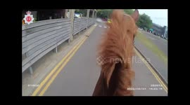 Police bodycam video56