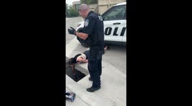Ducklings Rescued From Storm Drain