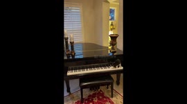 Kitten Is A Jazz Musician