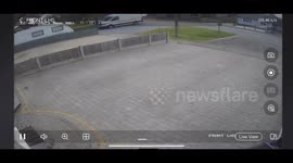 Security Camera Captures Sneaky Pup's Escape Attempt