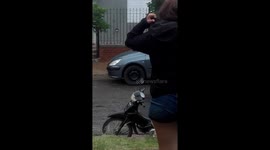 Doggy Loves to Ride Motorcycle