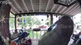 Snake Rings Video Doorbell