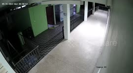 Stray bandit dog caught on CCTV stealing hospital's doormats