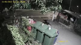 Out-of-control pickup truck crashes into shop 'when driver dozes off and steps on gas pedal'