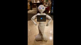 Robot dancing Nut Cracker
