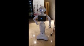 Robot dancing Macarena song