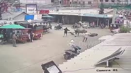 Escaped buffalo gores shoppers at market in Cambodia
