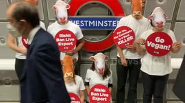 PETA activists wearing animal masks cram onto London tube