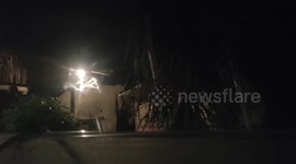 Wild elephant shocks family when it raids their garden in the middle of the night