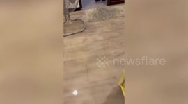 Family's apartment flooded when bidet pipe bursts