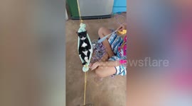 Chilled-out cat sleeps on hammock made from face mask
