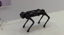 Robot Dog at The International Safety Fait Exposec 2023 in Sao Paulo, Brazil