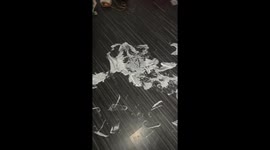 Grandma Finds a Huge Mess in the Kitchen