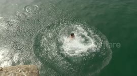 Everyone, including dogs, splash in Newquay Harbor during UK heatwave