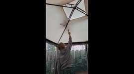 Toe Beans Poked From Under Gazebo