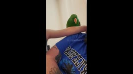 Boy and Parrot Have an Adorable Bond