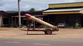 Superstitious locals hold 'giant penis parade' to pray for rain in Thailand