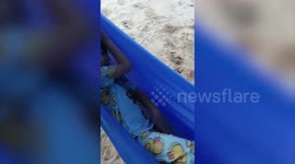 Little girl gives up hammock so her pet parrot can sleep